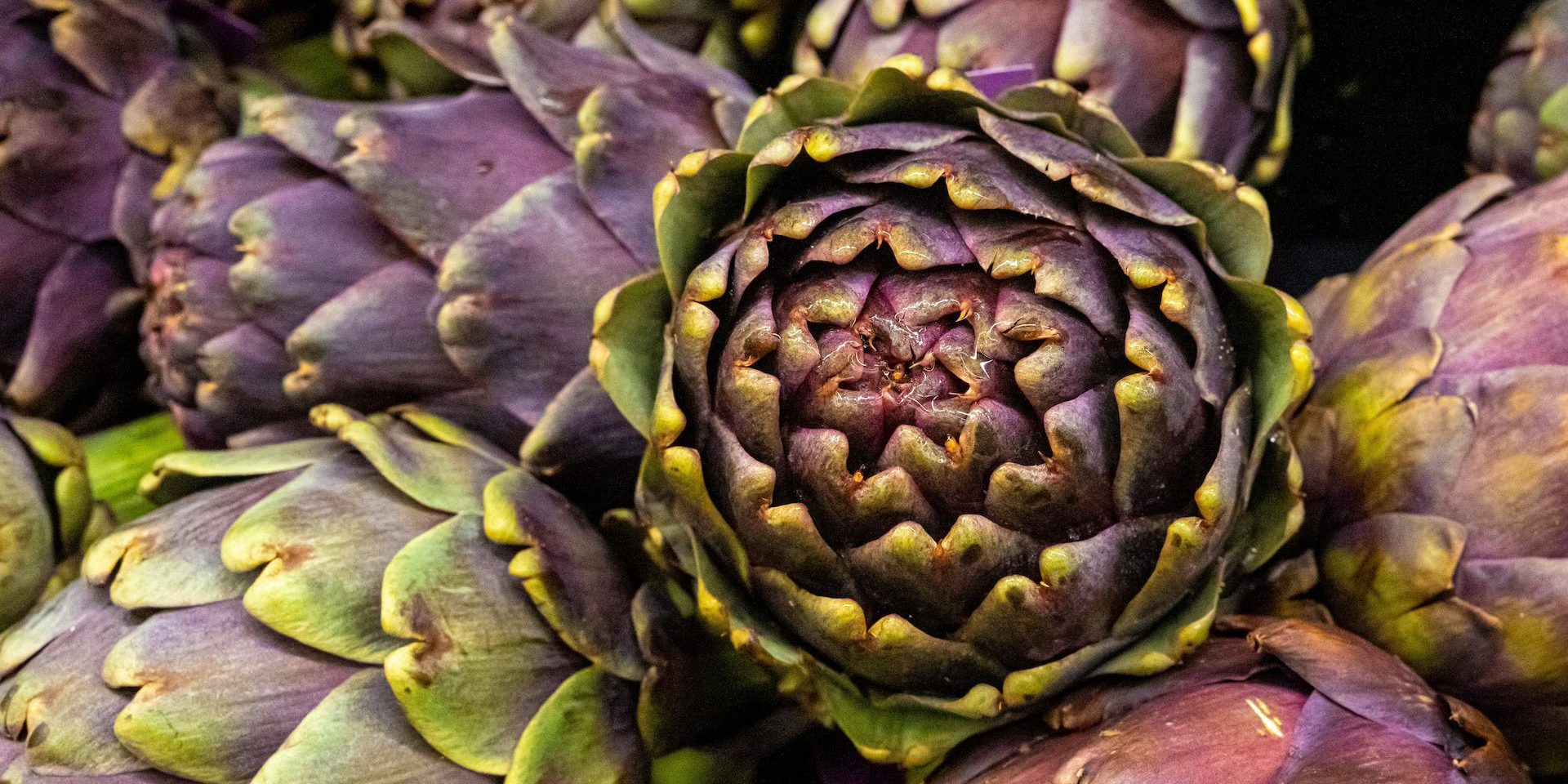 Artichoke, a spring vegetables